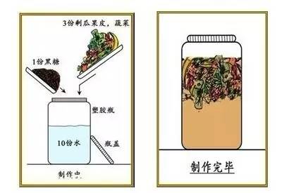 利用厨余垃圾制作酵素的好处,厨余垃圾制作环保酵素