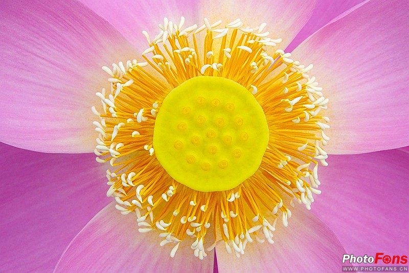 索尼黑卡长焦rx10m4技术参数,索尼超长焦黑卡rx10iii