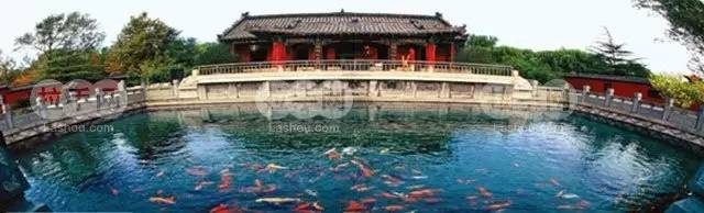 百脉泉水盈盈情徐可顺