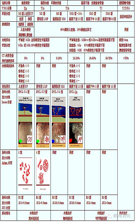 食管高级别上皮内瘤变选择治疗流程