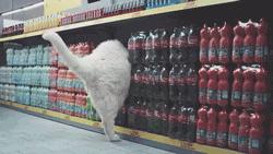 怀孕多少周胎动从肚子上能看见,怀孕三十三周如何数胎动