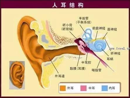 鼻内镜术后脑脊液鼻漏的原因,鼻漏会引起中耳炎吗