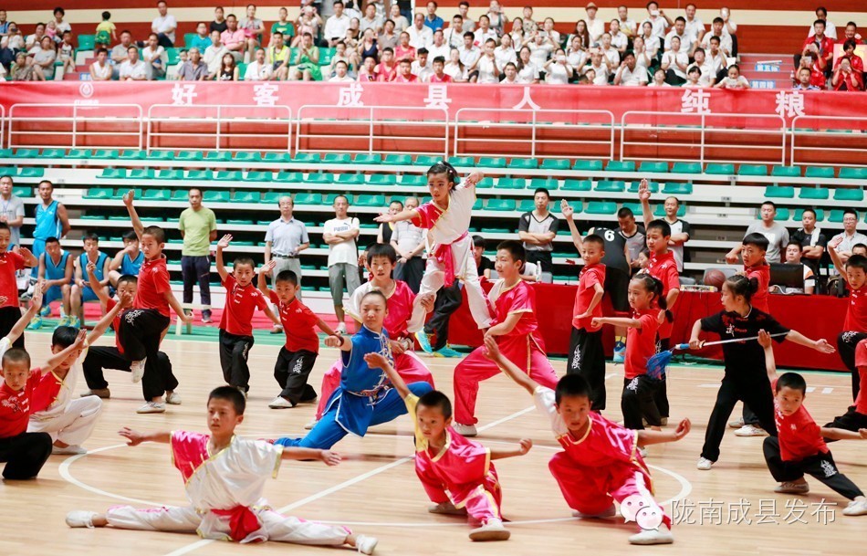 2023企业杯回郭镇篮球比赛,振兴杯篮球赛开幕信息简报