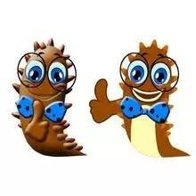 海参补气血的效果,海参通血管