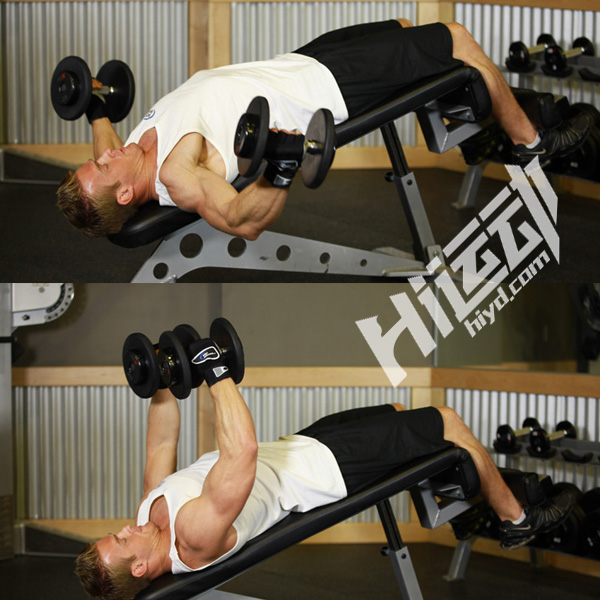 弹力绳练胸肌和哑铃练胸肌,徒手练胸肌好还是哑铃练胸肌好