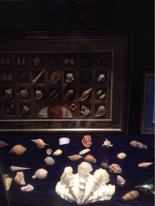 三亚下雨适合去旅游吗,三亚旅游遇到雨天怎么办