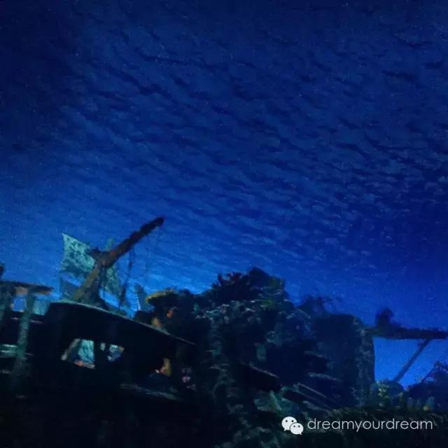 迪士尼世界好玩吗,迪士尼好玩吗真实评价