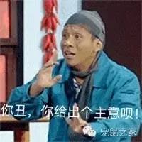 适合学生养的1元宠物,双鱼座适合养什么宠物