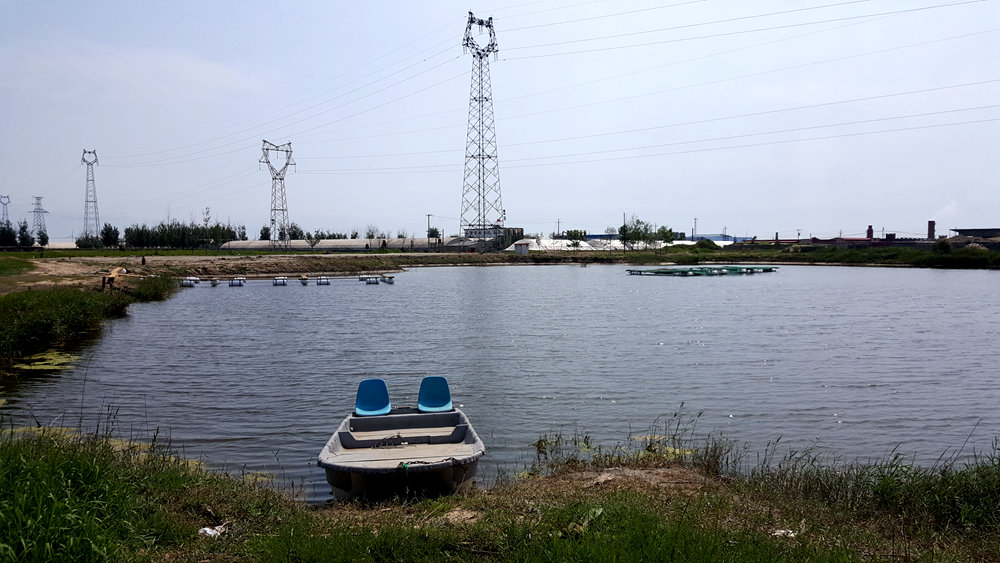 乐亭碧海渔家,乐亭碧海渔家怎么样