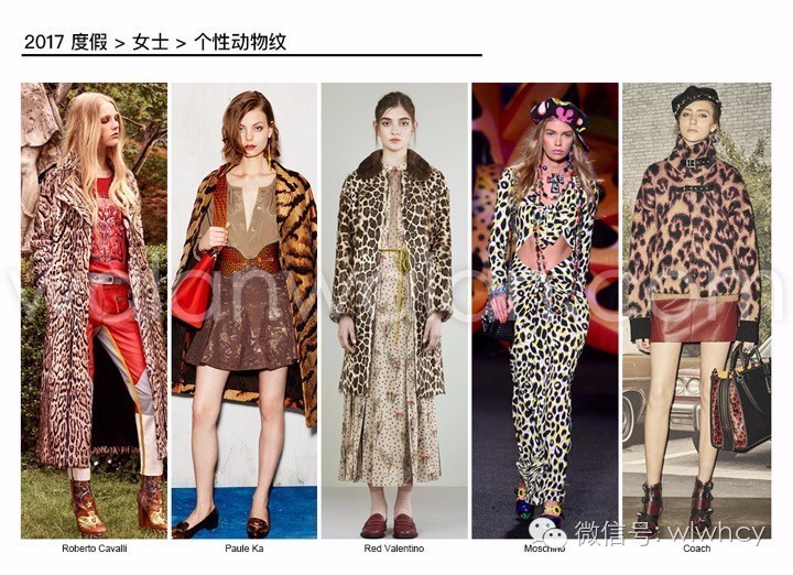 印花图案趋势在哪里,趋势在哪机会就在哪