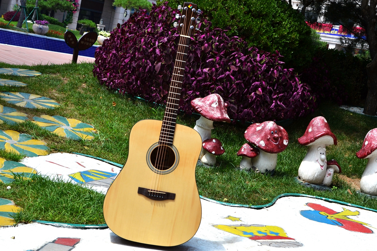 有声有色，久弹不累：乐果D10，吉他初学者的明智之选