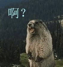 天呐！火的要死「城野医生毛孔水」价格暴涨200%