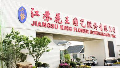 2020年8月份新股申购一览表,2023年12月26日新股申购