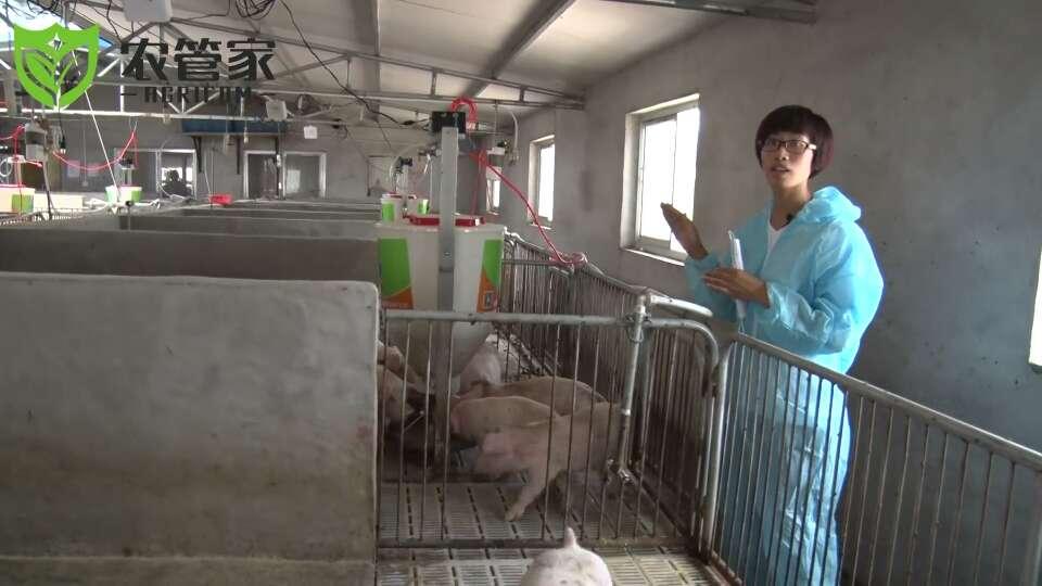 大长今精通的技艺,乐亭县畜牧