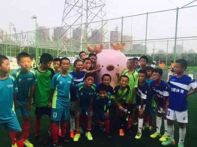 宝宝树北京发布会,宝宝树直播首秀