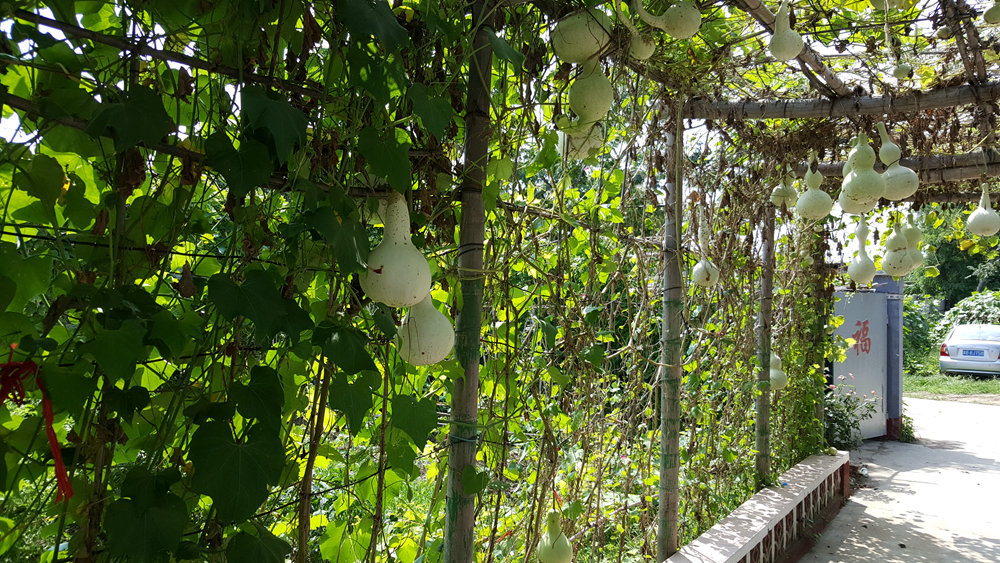 乐亭碧海渔家,乐亭碧海渔家怎么样