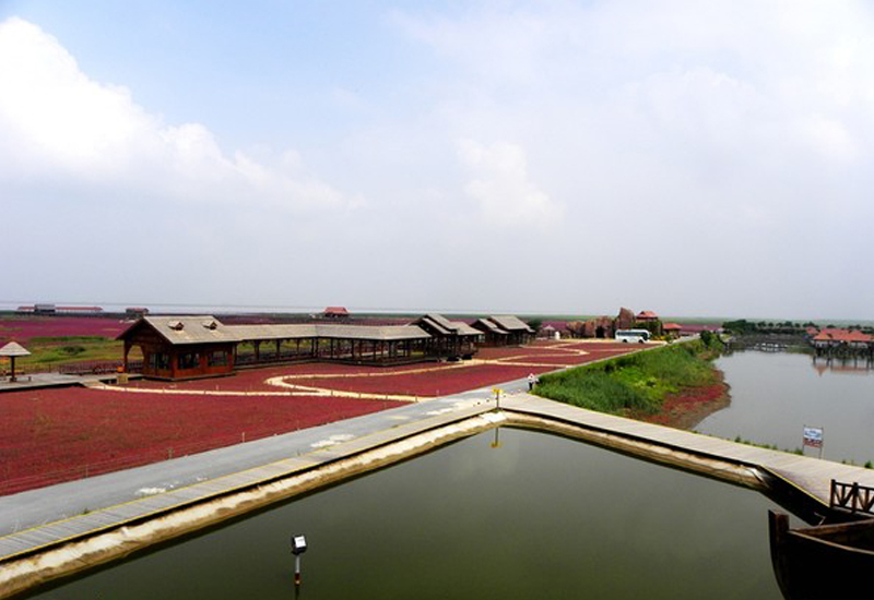 自驾去盘锦红海滩旅游线路,辽宁盘锦红海滩旅游攻略一日游