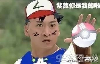 老中医蜂蜜系列,老中医生姜蜂蜜