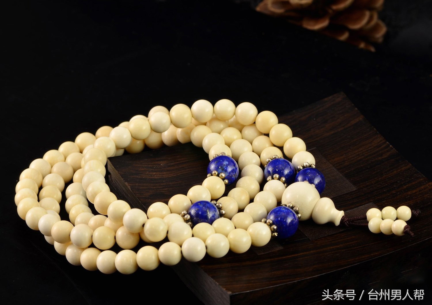 冰封数万年的猛犸象,藏传老猛犸象牙