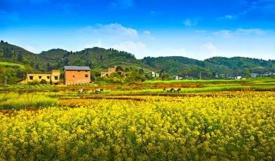 以后谁再跟你说巴南不好，就把这条微信甩给他