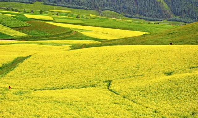 易经逆境中的三大道理,易经中悟出什么道理