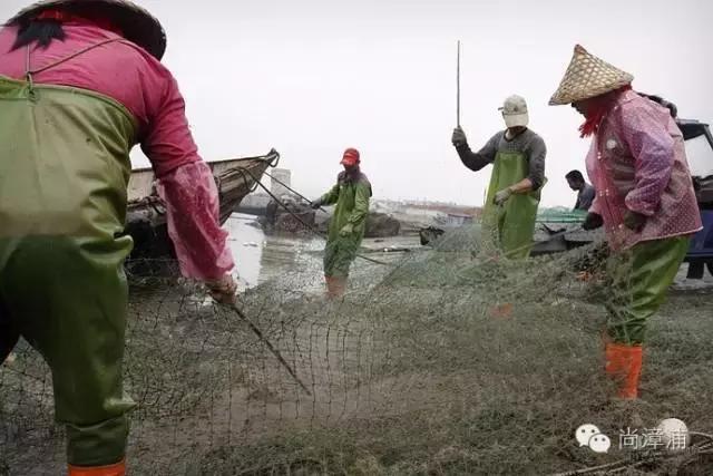 一些外地人眼中的福建,漳州人眼中的漳浦