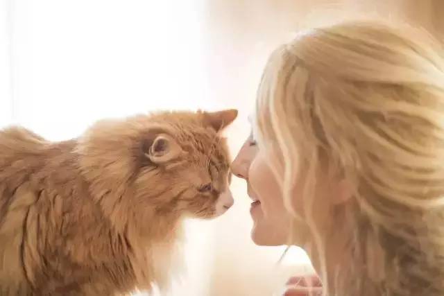 这个北欧妹子所拥有的普通生活，很多人一辈子都没法过