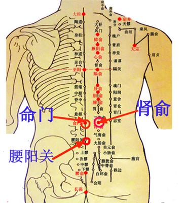 广而告之:腰椎间盘突出症与姿势不当有关吗