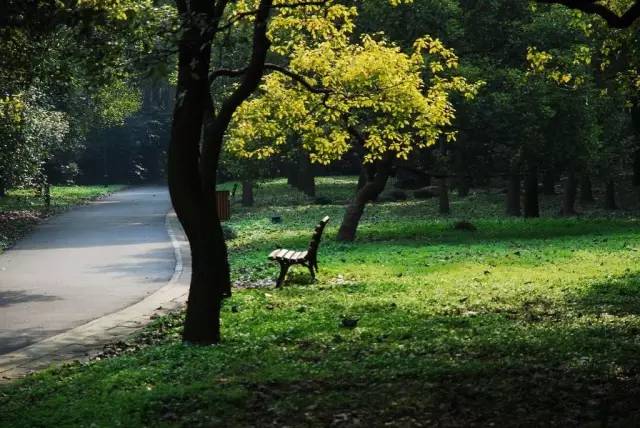 六十多家旅游景点门票半价,这8家景区免费或有优惠