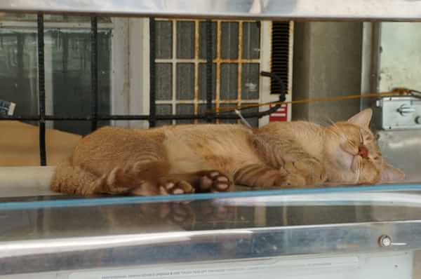 在台湾流浪14天~火星人的环岛路线！