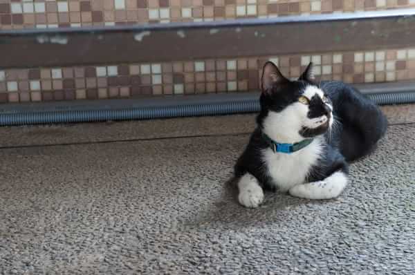 在台湾流浪14天~火星人的环岛路线！