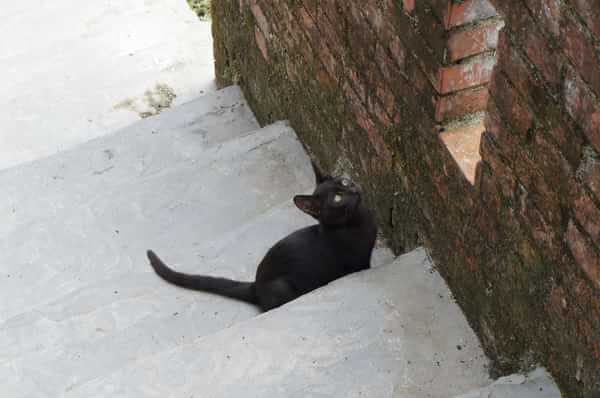 在台湾流浪14天~火星人的环岛路线！