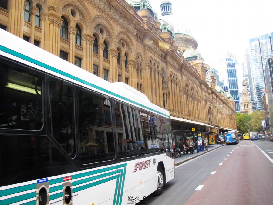 悉尼是啥味道,悉尼盐蚝