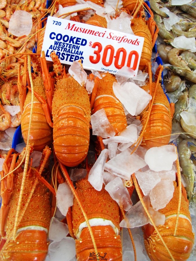 悉尼是啥味道,悉尼盐蚝