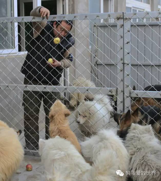 他们是最可爱的人作文350字 (他们是最可爱的人作文)