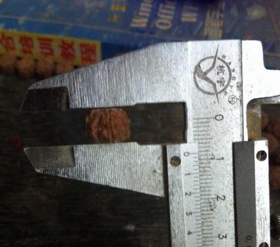 关于藏式小金刚菩提子打磨教程，喜欢的一定要看！