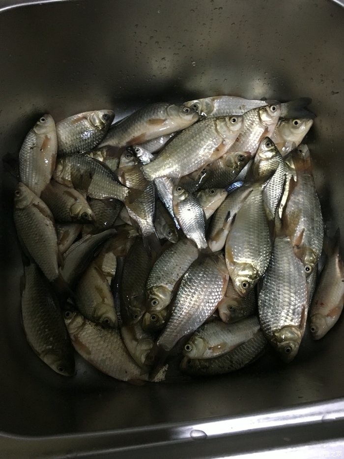 天气晴朗钓鱼,东北风天气钓鱼最佳钓位