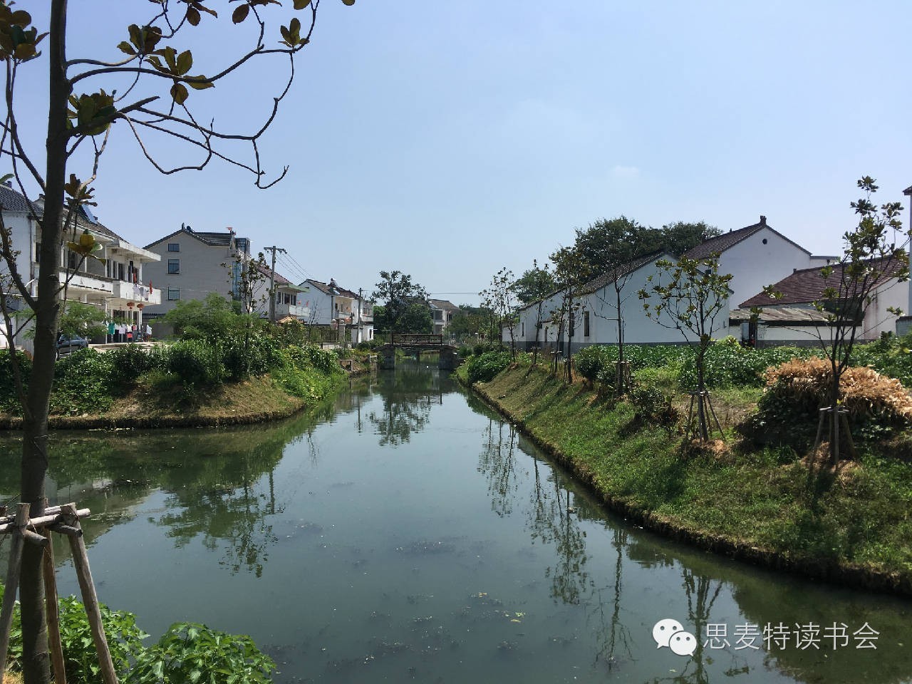 书友佳作｜隐逸在吴江世外桃源的老桥