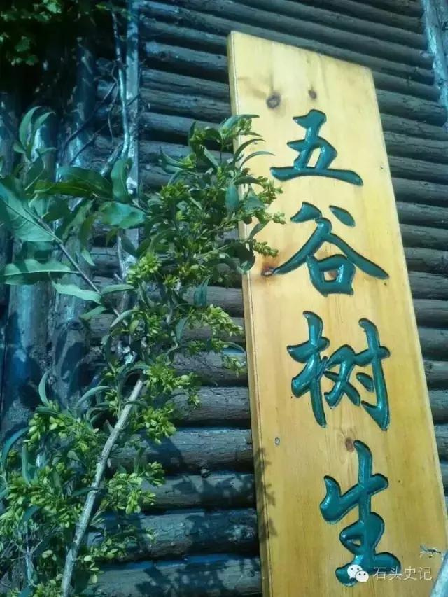 郑和下西洋带回祥瑞麒麟,郑和下西洋带回的植物