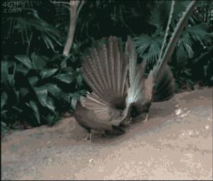 恐怖gif女生,韩国恐怖电影女孩诡异的笑图片