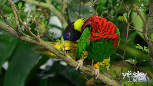 电视盒子海美迪是最好的吗,芒果嗨电视盒子