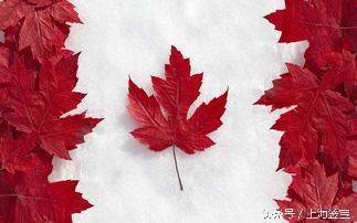 准备去加拿大留学的孩子,去加拿大看朋友需要办什么手续