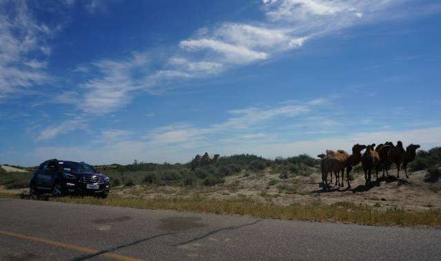 海马s5试驾越野,试驾海马s5
