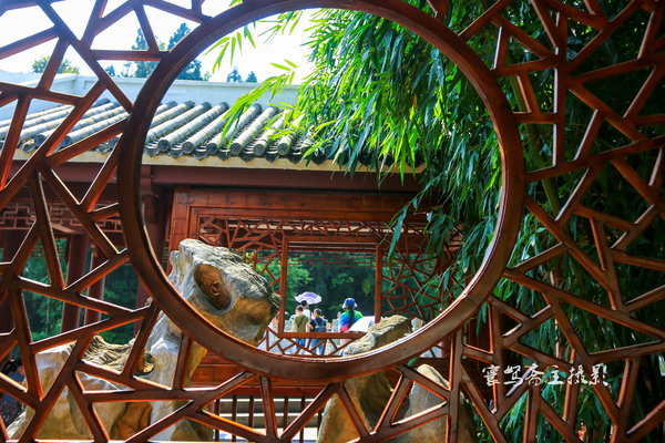 贵州多彩贵州风五日游,走进多彩贵州欣赏贵州美景