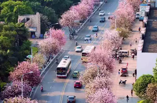 柳州哪个公园有足球场,柳州新建紫荆花公园