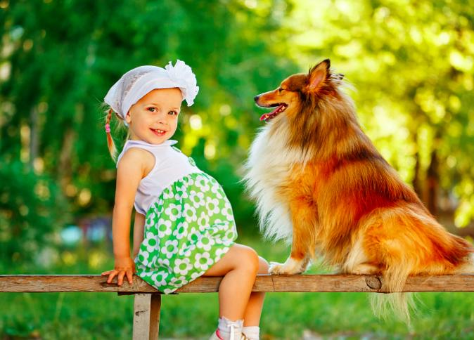 虐待小动物触犯的法律,宝宝虐待小动物怎么办