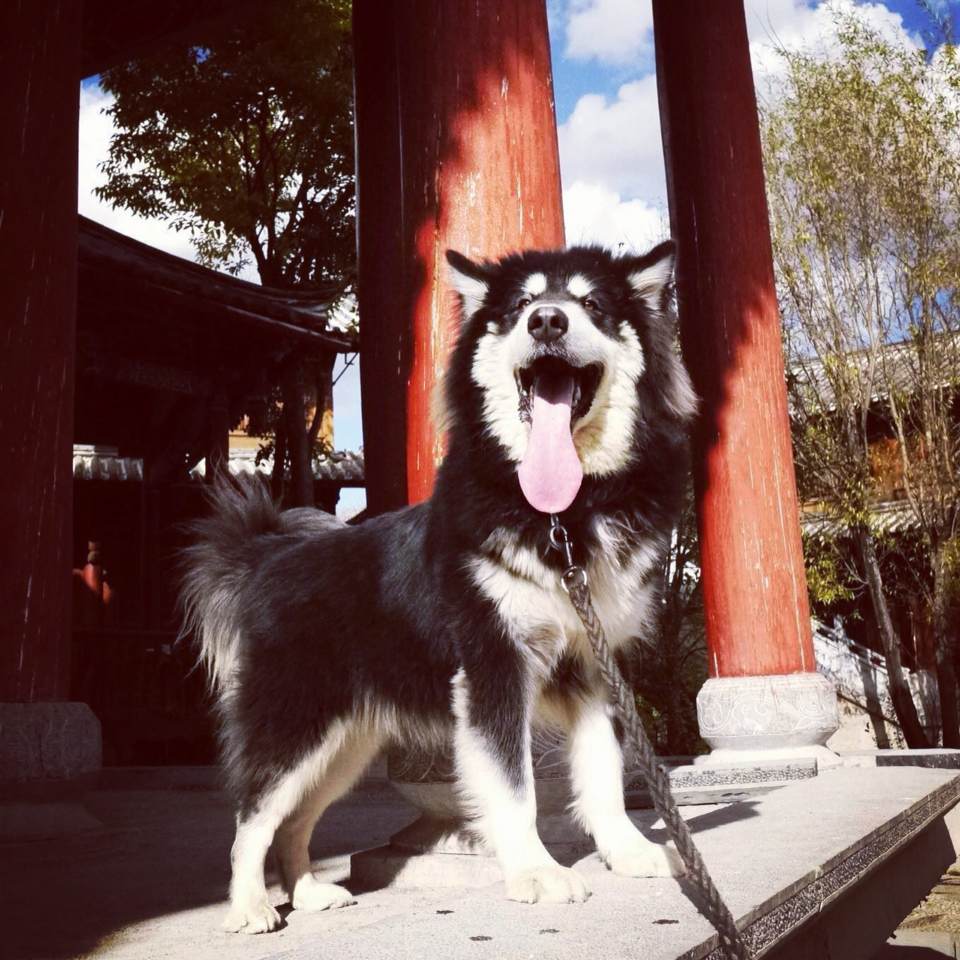 宠爱故事免费观看,宠爱剧情梗概