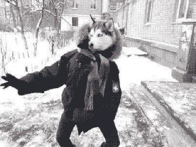 零下80度上海,上海零下9.8度