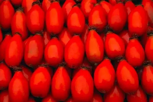 彩妆小品牌分析,彩妆鸡肋产品有哪些品牌