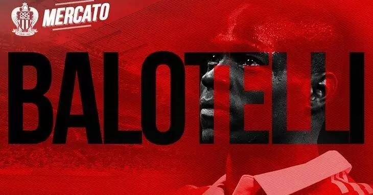 一觉醒来，各家球迷又上树了